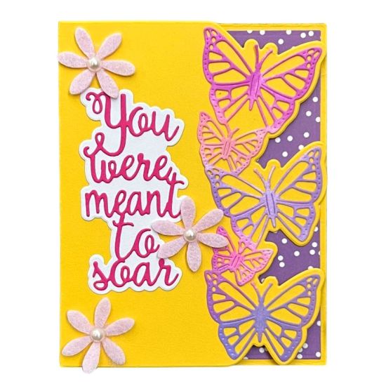 Butterfly Edge Card Die Set
