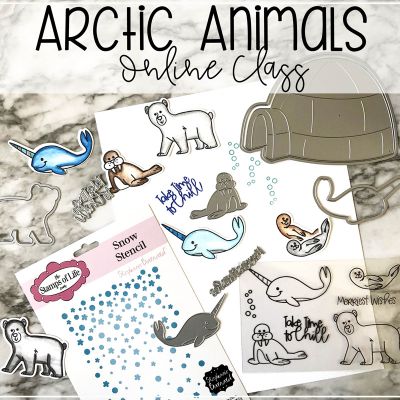 Arctic Animals Class

