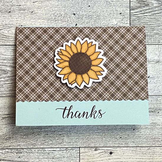 Sunflower Thank You Notecard
Hello Sunflower Stamps and Dies.  The Thanks sentiment is from the wheelbarrow2stamp set.
Keywords: thanks wheelbarrow2stamp sunflowers