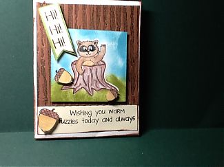 racoon.jpg
