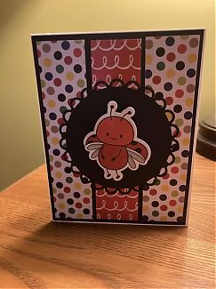 Lady_bug_4.jpg