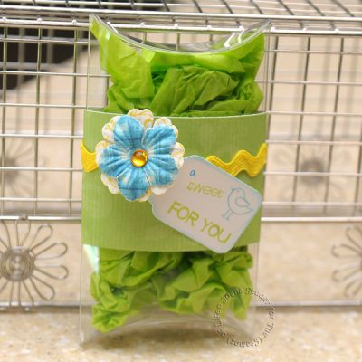 A Tweet For you
Trees2Build
Sizzix tag die
Prima Marketing flowers
acetate pillow box
