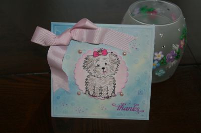 IMG_5675sm.jpg