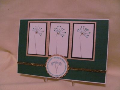 Team mom Thank you
This is a card that I made for our High School Junior Varsity Baseball team mom. I couldn't wait to use this set and thought that the colors that I was using(school colors) Green and Gold would be perfect with this set.
