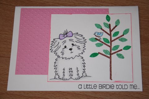 B-day card for Margaret
Birthday card for a very dear 6 year old.   Simple but I love the little birdie talking to Cookie. 

