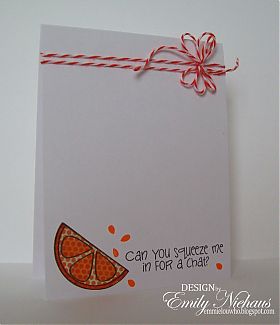 TSOL_Orange_slice.jpg