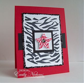 zebra rockstar TSOL.jpg