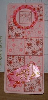 DSCF0053.JPG