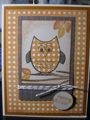 Happy Birthday Owl
Love these owls and love that every set can be used together. Also used the branches4flowers set and minis4circles for the tag.
