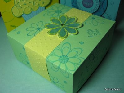 Flower Birthday Box
Made box with scoreboard, stamped with Creations2fill stampset.
