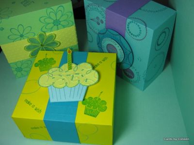Birthday Boxes
These boxes are easy to make with a scoreboard, instructions are included, just remember to stamp the lid before assembling, make a paper band, decorate and fill as desired!
