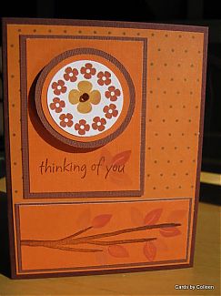 IMG_6497.JPG