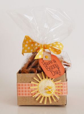 Have a Sunny Day Box
I stamped a foldable box with a sentiment. Then I stamped the sun on yellow cardstock and added Flower Soft in white in the center. I stamped a sentiment on a tag which I tied to a bag of pretzels.
Keywords: box summer4fun