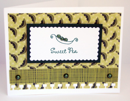 Sweet Pea
Stamps: The Stamps of Life (Sweet4Babies)
Dies: Spellbinders
Patterns: Cosmo Cricket
Border Punch: EK Success

TFL!
Tami
Blog: http://tamimayberry.blogspot.com/
Facebook: http://facebook.com/TamiMayberryDesigns



Keywords: sweet4babies