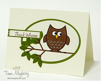owl3.jpg