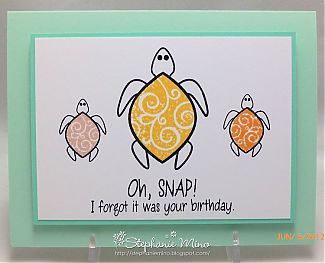 LateTurtleBDay.jpg