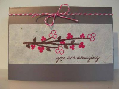 you are amazing

