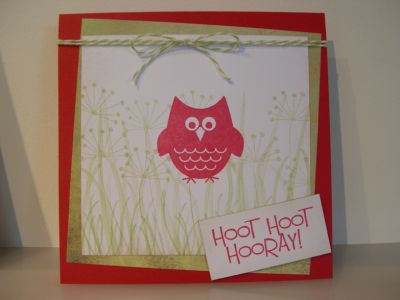 Hoot Hoot Hooray!
