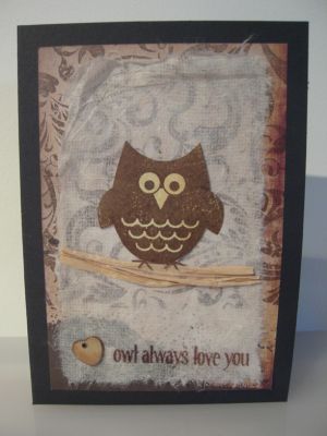 owl always love you
