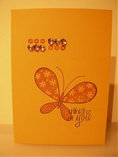 butterfly2.jpg