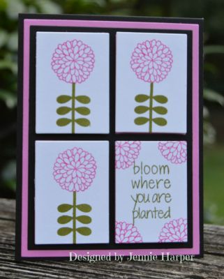 Bloom Where Planted
Keywords: mums2stamp
