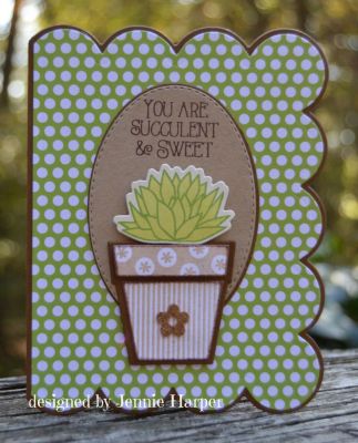Succulent and Sweet
