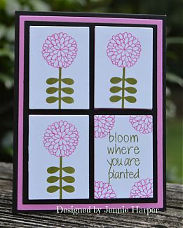 Bloom.jpg