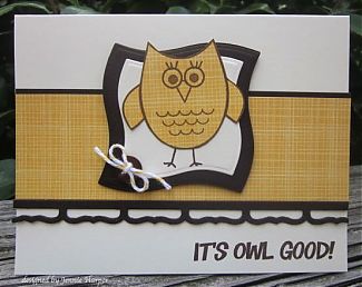 TSOL It's Owl Good.jpg