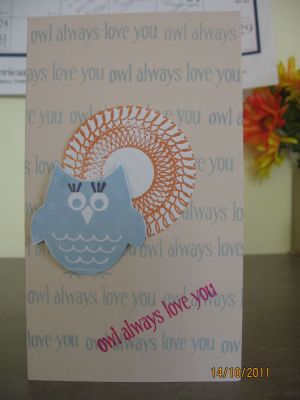 OWL ALWAYS LOVE YOU
