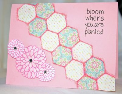 Bloom
Keywords: mums bloom