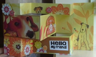 Hello my friend, woof woof
