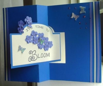 bloom
