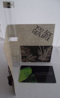 Daisy_Candy_Tube_Gift_Card_Holder.jpg