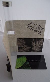 Daisy_Candy_Tube_Gift_Card_Holder.jpg
