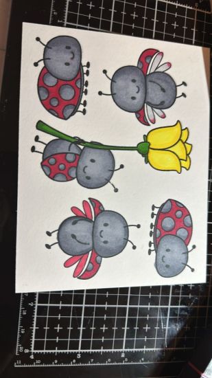 Keywords: Lovely Lady Bugs