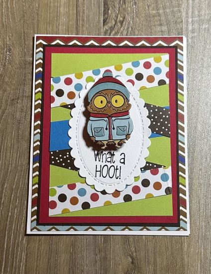 What a Hoot Owl
