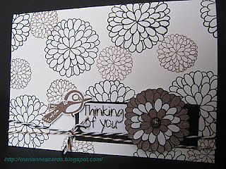 IMG_6386.jpg
