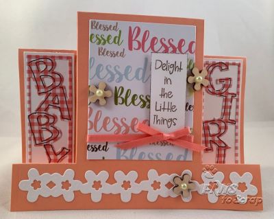 Baby Girl Step Card
