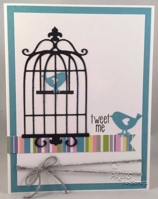 Tweet Me
Cardstock:  The Stamps of Life*
Pattern Paper:  The Stamps of Life*
Stamps:  birdcage2stamp
Dies:  Bird Cage Club Set
Ink:  Color Box
Ribbon:  Twine from The Stamps of Life*

*from The Stamps of Life February Card Kit

