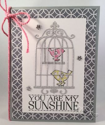 You Are My Sunshine
Stamps:  birdcage2stamp and February Card Kit Stamp Set (The Stamps of Life)
Ink:  Hero Arts Black
Paper:  February Card Kit Stamp Set. POW Silver (American Crafts) and Marshmallow Cardstock (The Stamps of Life)
Accessories:  Birdcage Dies, Ribbon, Twine, and Flower Jewels (all from The Stamps of Life)

Keywords: birdcage2stamp 