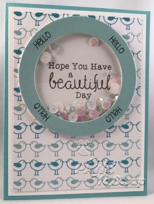Beautiful Day
Stamps and Dies:  Stamp Set from November 2017 Kit of the Month and minis4circles (The Stamps of Life); Circle Dies (Sizzix)
Ink & Embossing:  Licorice (The Stamps of Life)
Paper: Cardstock and pattern paper from November 2017 Kit of the Month
Other: Adhesive Foam and Acetate (The Stamps of Life); Sequins from Lucy's Little Things
Keywords: November Card Kit