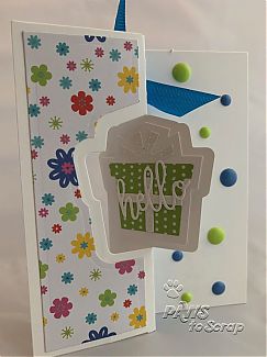 IMG_3161.jpg