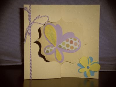 Spring Butterfly
