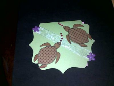 turtles2love
rondabriggs2011@gmail.com

