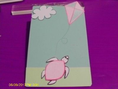 Turtle flies a Kite

