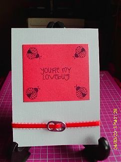 Ladybugs_032.JPG