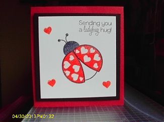 Ladybugs_033.JPG