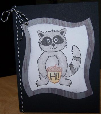 Hi Raccoon
