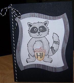 Raccoon Hi.JPG