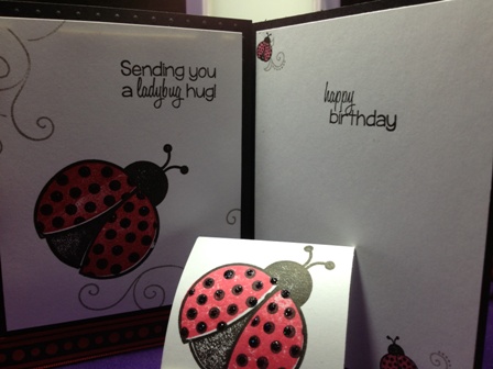 Juvenile birthday card with matching giveaway mini-note matchbook
I stamped the card out then made a matching notebook for a 11 year old girl to give away ladybug hugs to her friend on her notes
Keywords: ladybugs2love